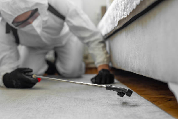 Professional Termite Control technician working in Carroll County County, OH